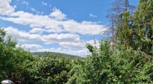 Chalet Corallo con camino e ingresso indipendente