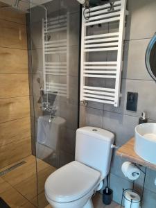 Apartamenty w Pieninach - studio 2 osobowe