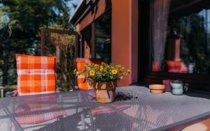 Ferienhaus Nachtigall