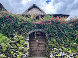 Ngũ Chỉ Sơn Trekking Sapa Homestay Local Experience