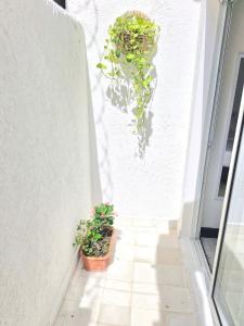 Apartasuite Confort, Ideal Location, to the North