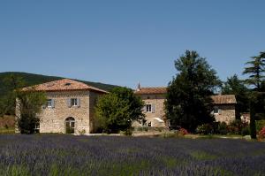 La Vivande photo 12