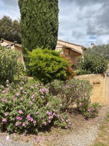 Maisons de vacances LES CISTES : photos des chambres