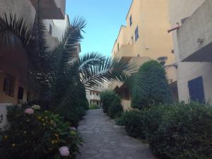 T2 log entier Porticcio 35m piscine-mer-resto 400m