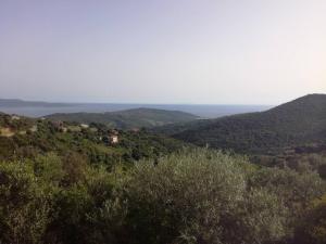 T2 log entier Porticcio 35m piscine-mer-resto 400m