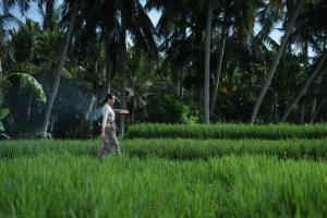 Jepun Villa at Sawah Indah Ubud