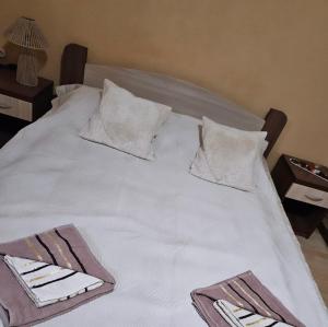 Motel Rudnik