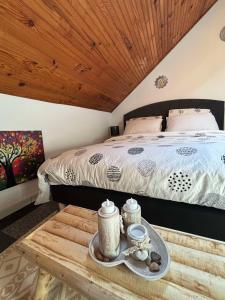 Maisons de vacances Un ete sans fin - 3 chambres- 3 lits - balneo : photos des chambres
