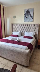 Impala Suites