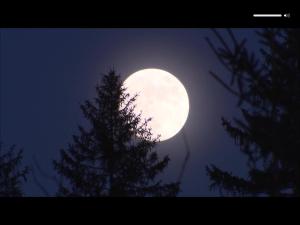 Halleinerhaus by Soul Rebels