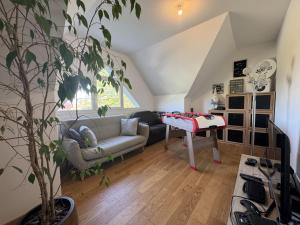 Chez Choco - 8pers - Circuit Bugatti - Rêve au Mans