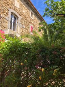 Maisons de vacances Mas Del Vracou : photos des chambres