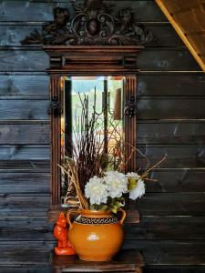 Casa Aristocrată - La noi la munte