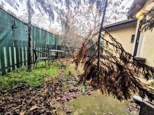 House with a garden in Pipera