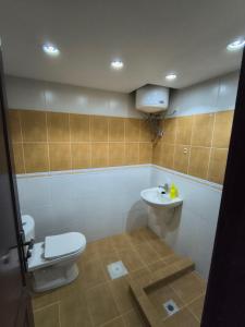 Shafa Badran Studio
