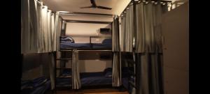 Cheklaa Backpackers