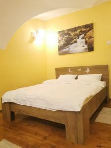 SMB Studio Poarta Schei