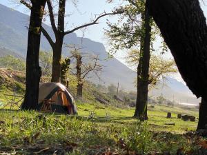 Ribbokskloof Cottages and Campsite