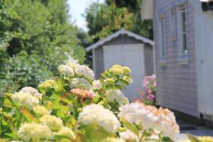 Villas Between the dunes and the sea : photos des chambres