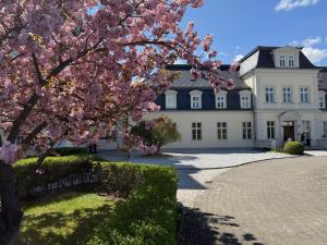 THERESET Schloss Groß Plasten