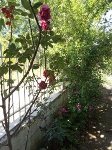 Smal villa loft near the beach