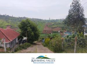 Ravishing Valley