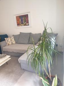 Teatro Massimo Bellini appartamento nuovo2+3ac