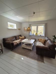 A hidden gem in the woods