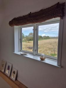 A hidden gem in the woods