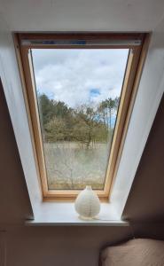 A hidden gem in the woods