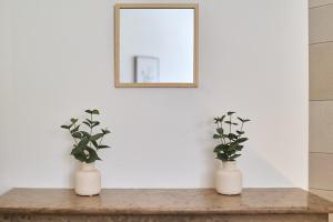 The Winter, Netflix, Downtown, Quiet & Comfortable