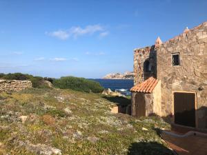 WILD BLUE Sardinia img4