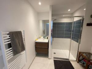 Appartements T2 - terrasse - parking - linge inclu : photos des chambres