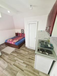 Vila Aleksandra 2 Studio 16