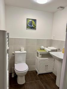 Appartements Studio au Coeur du Village avec terrasse et parking proche de Pamiers : photos des chambres