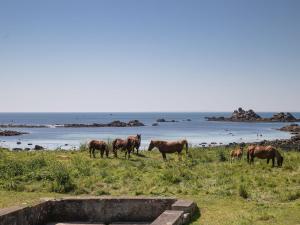 Maisons de vacances Holiday Home La Grande Roche - POD101 by Interhome : photos des chambres