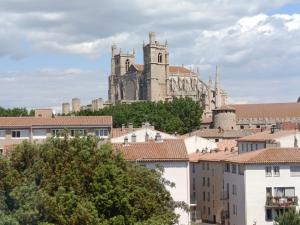 Grand T2 50m2 Narbonne centre, vue sur cathédrale