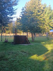 Cabaña Linoico Paulina Coñaripe