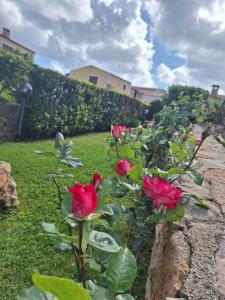 Casa Luana - Vista mare b2-3 - UIN S6714 img70