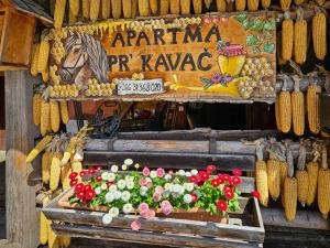 Apartment Pr Kavač by Interhome