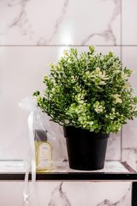 Two bedroom flat next to Paddington St - 6