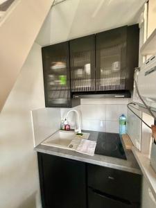 Les toits de Deauville