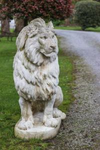 B&B / Chambres d'hotes Villa Yoda : photos des chambres