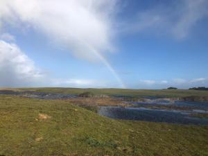 Locéan à la campagne