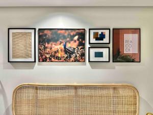 Explore Ellipse - Peacock Room