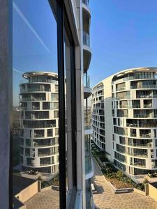 Explore Ellipse - Peacock Room