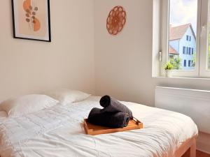 La Perle de Schiltigheim - Cosy & Lumineux