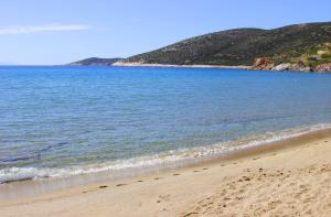 Sia Premium Apartments