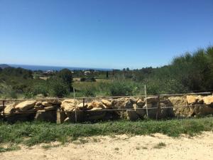 Maisons de vacances La Ferme des Chevres : photos des chambres