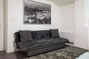 Appartements Spacieux Studio, Maison de Maitre, Parking Gratuit sur Place, MULHOUSE CENTRE : photos des chambres